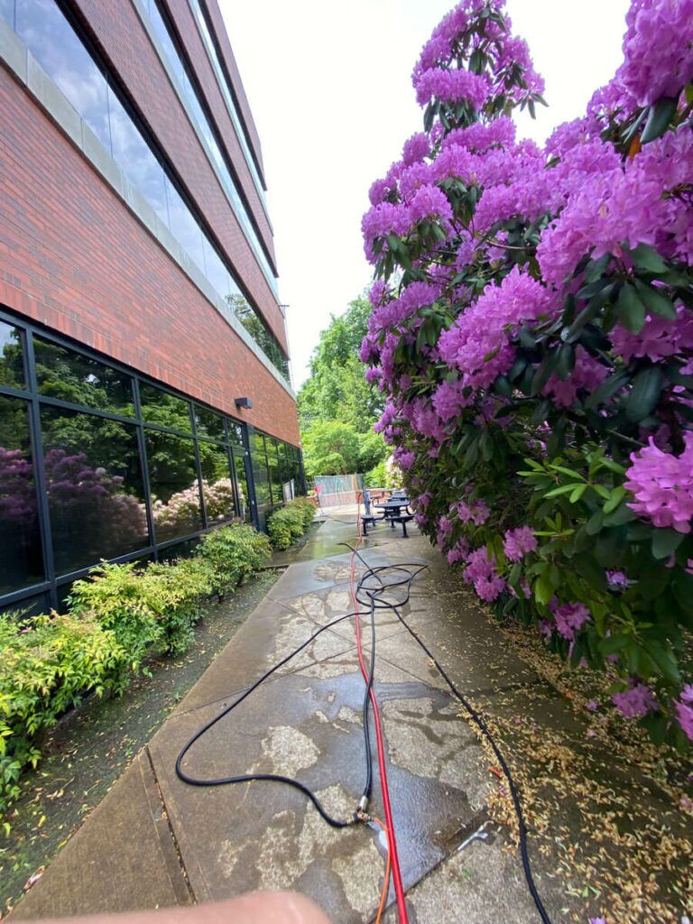 Cutting Edge Window Cleaning Services- window cleaner service